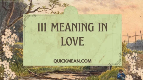111 meaning in love