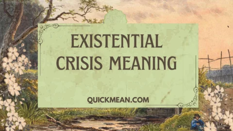 existential crisis meaning