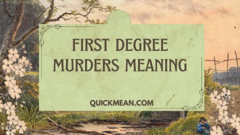 first degree murders meaning