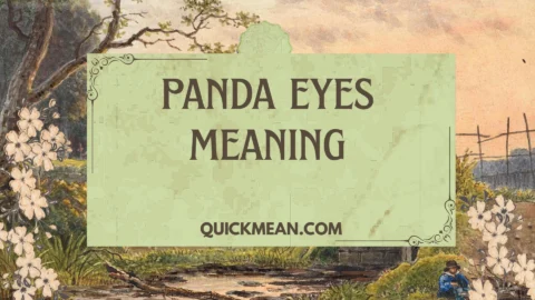 panda eyes meaning