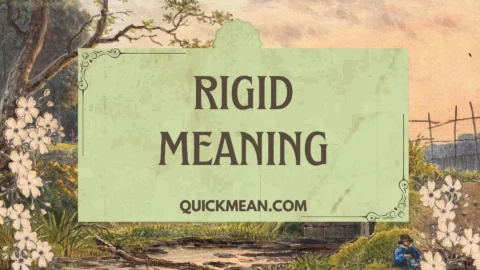 rigid meaning