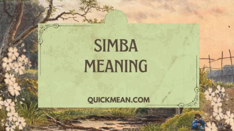 simba meaning