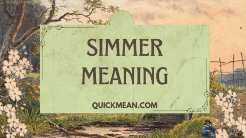 simmer meaning