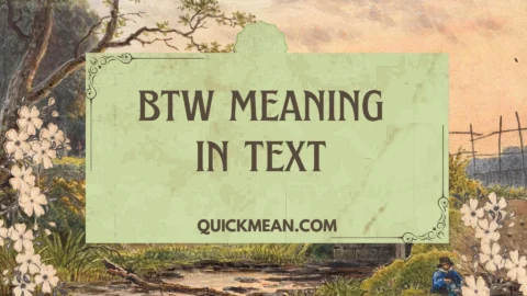 btw meaning in text