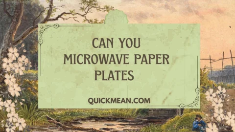 can you microwave paper plates