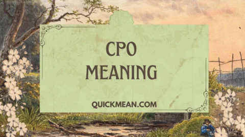 cpo meaning