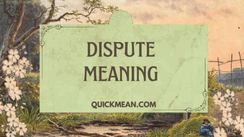 dispute meaning