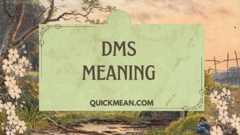 dms meaning