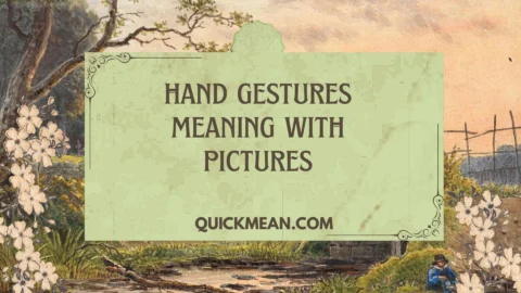 hand gestures meaning with pictures