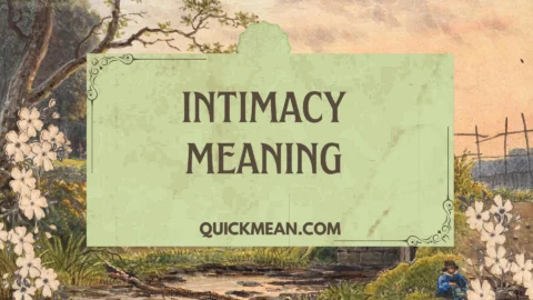 intimacy meaning