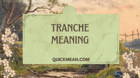 tranche meaning