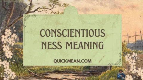 conscientiousness meaning