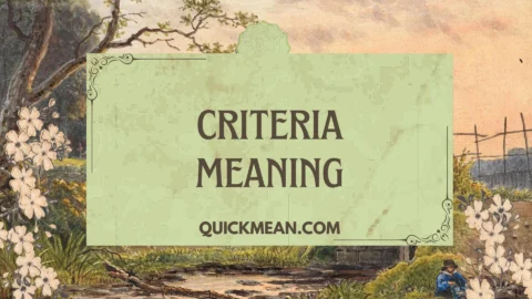criteria meaning
