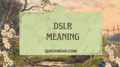 dslr meaning