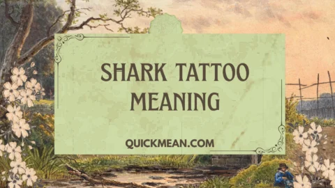 shark tattoo meaning