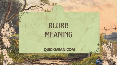 blurb meaning