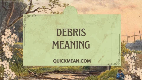 debris meaning