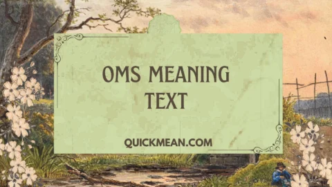 oms meaning text