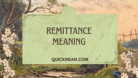 remittance meaning