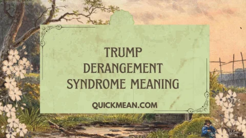 trump derangement syndrome meaning