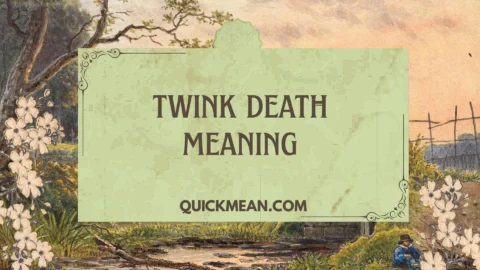 twink death meaning
