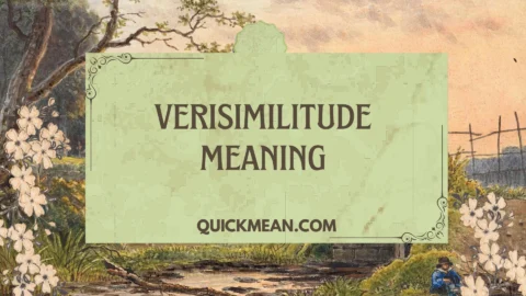 verisimilitude meaning