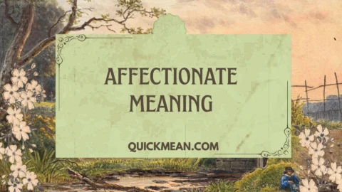 affectionate meaning