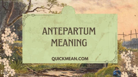 antepartum meaning
