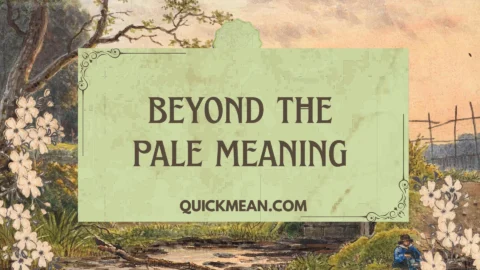 beyond the pale meaning