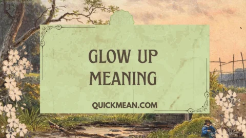 glow up meaning
