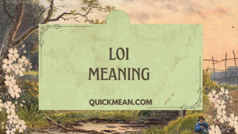 loi meaning