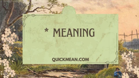 * meaning