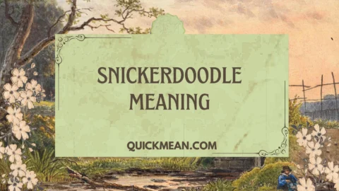 snickerdoodle meaning