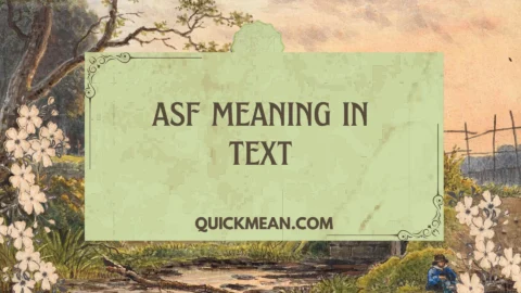 asf meaning in text