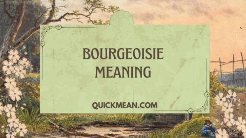 bourgeoisie meaning